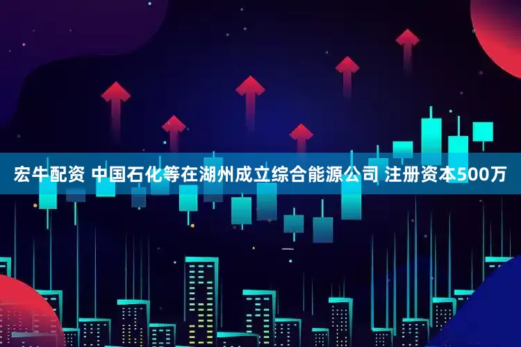 宏牛配资 中国石化等在湖州成立综合能源公司 注册资本500万