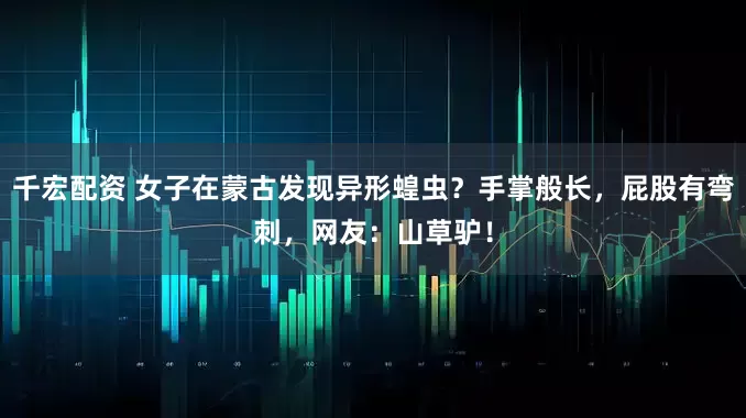 千宏配资 女子在蒙古发现异形蝗虫？手掌般长，屁股有弯刺，网友：山草驴！