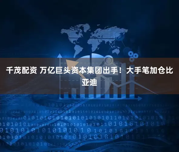 千茂配资 万亿巨头资本集团出手!大手笔加仓比亚迪